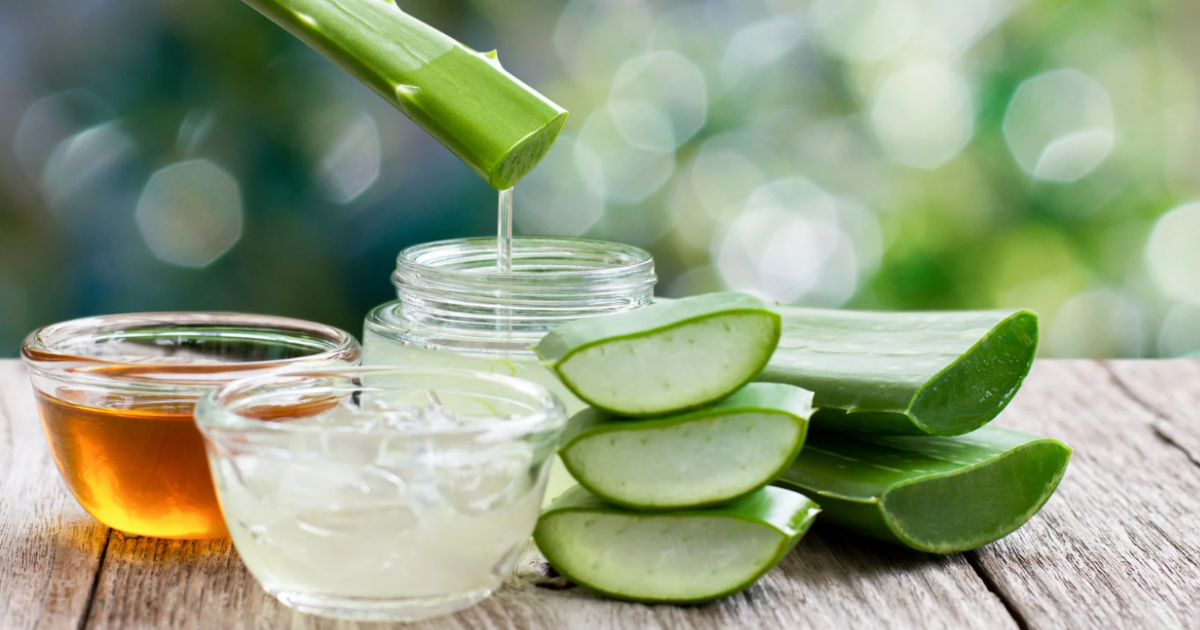 Aloe Vera for Skin Care: Top Benefits, Uses & Tips